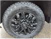 2025 Chevrolet Silverado 2500HD LT (Stk: 25549) in Haliburton - Image 8 of 16