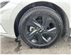 2023 Hyundai Elantra Preferred (Stk: 250423) in Ottawa - Image 21 of 21