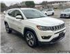 2019 Jeep Compass North (Stk: 162133) in London - Image 26 of 26