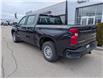 2024 Chevrolet Silverado 1500 Work Truck (Stk: B12460) in Orangeville - Image 3 of 19