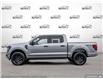 2025 Ford F-150 STX (Stk: FH132) in Sault Ste. Marie - Image 3 of 22