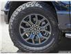 2025 Ford F-150 Tremor (Stk: FH134) in Sault Ste. Marie - Image 8 of 24