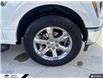 2021 Ford F-150 Lariat (Stk: P0532) in Tecumseh - Image 7 of 26