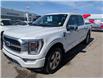 2021 Ford F-150 Platinum (Stk: S-802A) in Calgary - Image 1 of 29