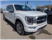2021 Ford F-150 Platinum (Stk: S-802A) in Calgary - Image 7 of 29