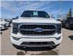 2021 Ford F-150 Platinum (Stk: S-802A) in Calgary - Image 8 of 29