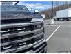 2024 Ford F-350 Platinum (Stk: P0729C) in Dartmouth - Image 8 of 24