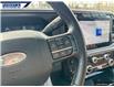 2024 Ford F-350 Platinum (Stk: P0729C) in Dartmouth - Image 15 of 24