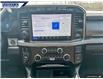2024 Ford F-350 Platinum (Stk: P0729C) in Dartmouth - Image 18 of 24
