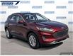 2021 Ford Escape SE (Stk: P0217L) in Dartmouth - Image 6 of 24