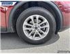 2021 Ford Escape SE (Stk: P0217L) in Dartmouth - Image 7 of 24