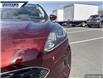 2021 Ford Escape SE (Stk: P0217L) in Dartmouth - Image 8 of 24