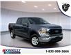 2022 Ford F-150  (Stk: DU8103) in Ottawa - Image 1 of 14