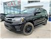 2024 Ford Expedition XLT (Stk: 24-0820) in Prince Albert - Image 1 of 17