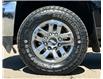 2017 Chevrolet Silverado 2500HD LT (Stk: T24-3823A) in Dawson Creek - Image 8 of 18