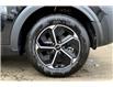 2025 Kia Niro Plug-In Hybrid LX (Stk: SNR7935) in Sherwood Park - Image 11 of 13
