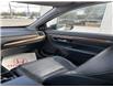 2019 Honda CR-V Touring (Stk: 250398A) in Ottawa - Image 15 of 22