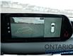 2025 Hyundai Palisade Ultimate Calligraphy 7-Passenger AWD (Stk: 924980) in Whitby - Image 3 of 36