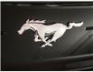 2023 Ford Mustang EcoBoost (Stk: 250384A) in Toronto - Image 18 of 21
