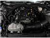 2023 Ford Mustang EcoBoost (Stk: 250384A) in Toronto - Image 19 of 21
