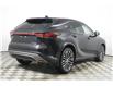 2025 Lexus RX 350  (Stk: 15104642) in Richmond Hill - Image 6 of 24