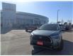 2022 Toyota Corolla Cross XLE (Stk: 250348A) in Whitchurch-Stouffville - Image 2 of 24