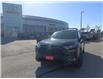2019 Toyota RAV4 LE (Stk: 250355A) in Whitchurch-Stouffville - Image 1 of 22