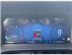 2024 Ford F-150 XLT (Stk: 2024-265) in New Liskeard - Image 11 of 12