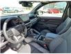 2025 Toyota Tacoma Hybrid Base (Stk: 259116) in Moose Jaw - Image 12 of 22