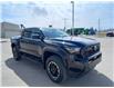 2025 Toyota Tacoma Hybrid Base (Stk: 259116) in Moose Jaw - Image 3 of 22