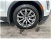 2023 Cadillac XT4 Premium Luxury (Stk: 250391) in Ottawa - Image 22 of 22