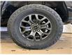 2025 Ford F-150 Tremor (Stk: 25LT32) in St.Paul - Image 10 of 10