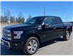 2017 Ford F-150 Platinum (Stk: 2024-253A) in New Liskeard - Image 4 of 16