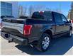 2017 Ford F-150 Platinum (Stk: 2024-253A) in New Liskeard - Image 8 of 16