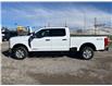 2025 Ford F-350 XLT (Stk: 5T6922) in Cardston - Image 2 of 13