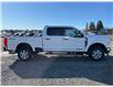 2025 Ford F-350 XLT (Stk: 5T6922) in Cardston - Image 6 of 13