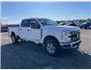 2025 Ford F-350 XLT (Stk: 5T6922) in Cardston - Image 7 of 13