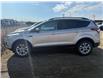 2017 Ford Escape SE (Stk: 25DSP001B) in Drayton Valley - Image 3 of 11