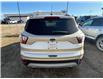 2017 Ford Escape SE (Stk: 25DSP001B) in Drayton Valley - Image 4 of 11