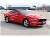 2020 Ford Mustang EcoBoost (Stk: BR2443A) in Harrow - Image 3 of 12