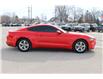 2020 Ford Mustang EcoBoost (Stk: BR2443A) in Harrow - Image 4 of 12
