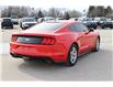 2020 Ford Mustang EcoBoost (Stk: BR2443A) in Harrow - Image 5 of 12