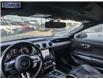 2019 Ford Mustang EcoBoost (Stk: 179742) in Langley BC - Image 24 of 25