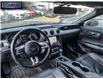 2019 Ford Mustang EcoBoost (Stk: 179742) in Langley BC - Image 25 of 25