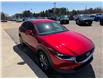 2021 Mazda CX-30 GS (Stk: 24356) in Pembroke - Image 7 of 25