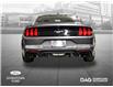 2023 Ford Mustang EcoBoost (Stk: 250384A) in Toronto - Image 4 of 21