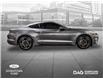 2023 Ford Mustang EcoBoost (Stk: 250384A) in Toronto - Image 5 of 21