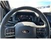 2024 Ford F-150 XLT (Stk: 57B52230) in Penticton - Image 16 of 21