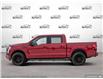 2025 Ford F-150 Lightning XLT (Stk: FH144) in Sault Ste. Marie - Image 3 of 23