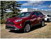 2024 Toyota RAV4 XLE (Stk: 250070LA) in Calgary - Image 5 of 23